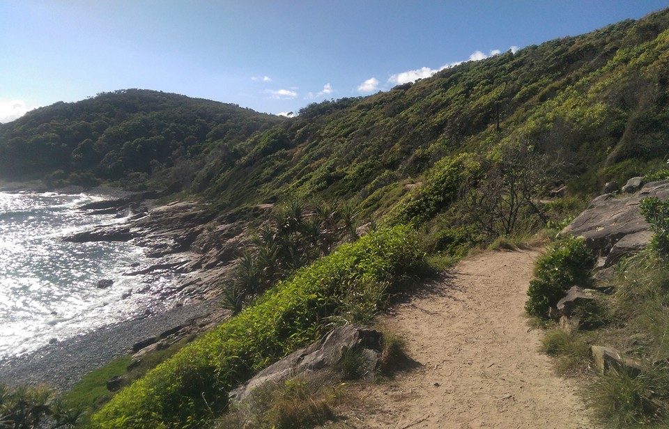 13000295_10154746698998989_6642164667326024784_n